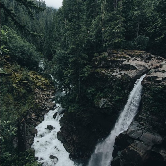 Meet your Posher, Erika - Picture 1 of 1